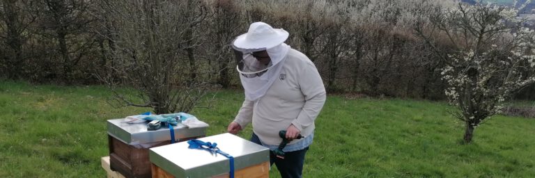 Bienenpatenschaft - Imkerei Staskiewitz