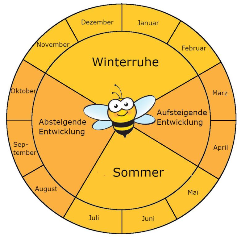 Bienenjahr