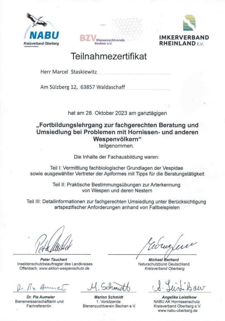 Teilnahmeurkunde Wespen und Hornissen Marcel Stask