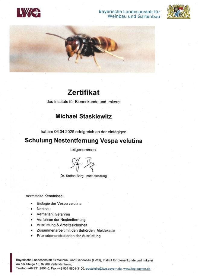 Schulung Nestentfernung Asiatische Hornisse Michael Staski