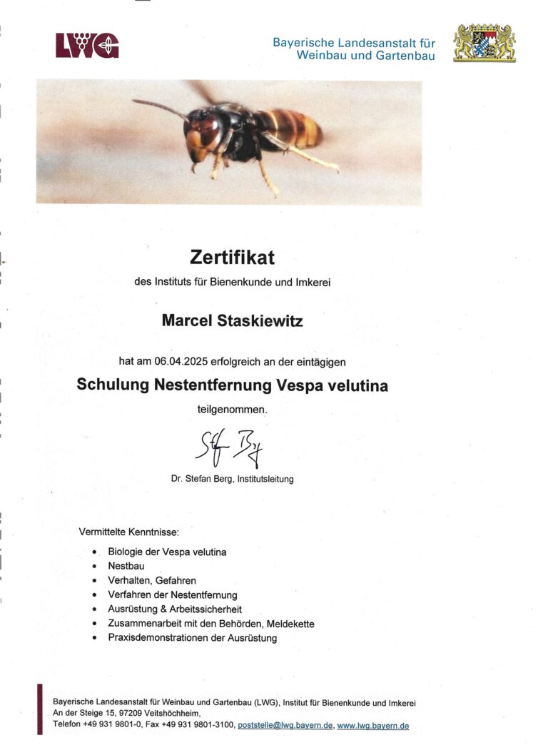 Schulung Nester Marcel
