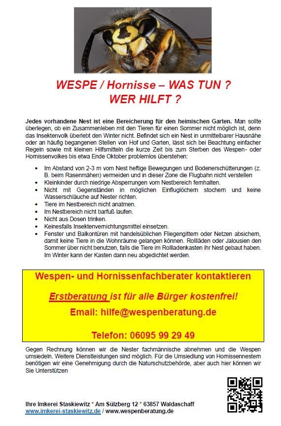 flyer Wespe2026