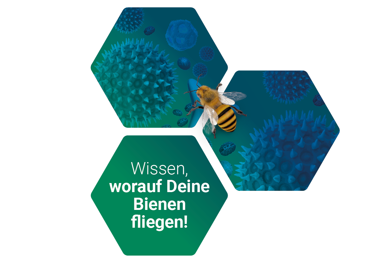 Honig DNA-Analyse von Sinsoma