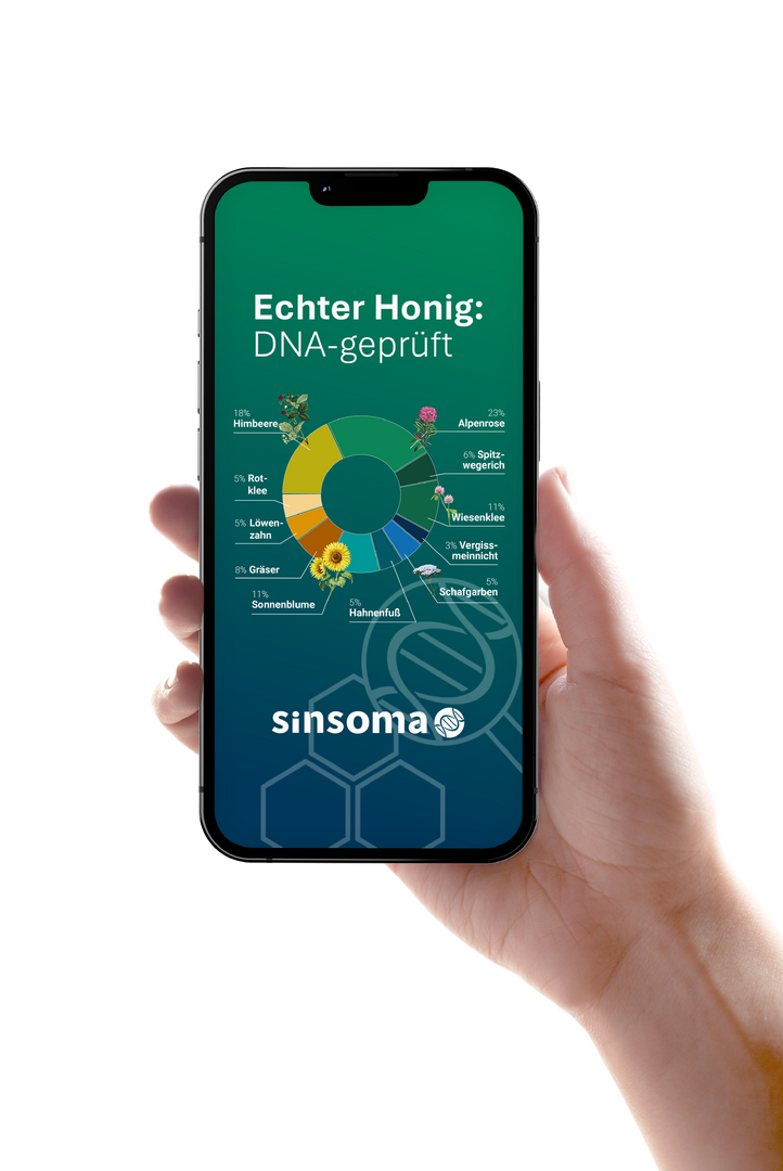 Honig DNA-Analyse von Sinsoma
