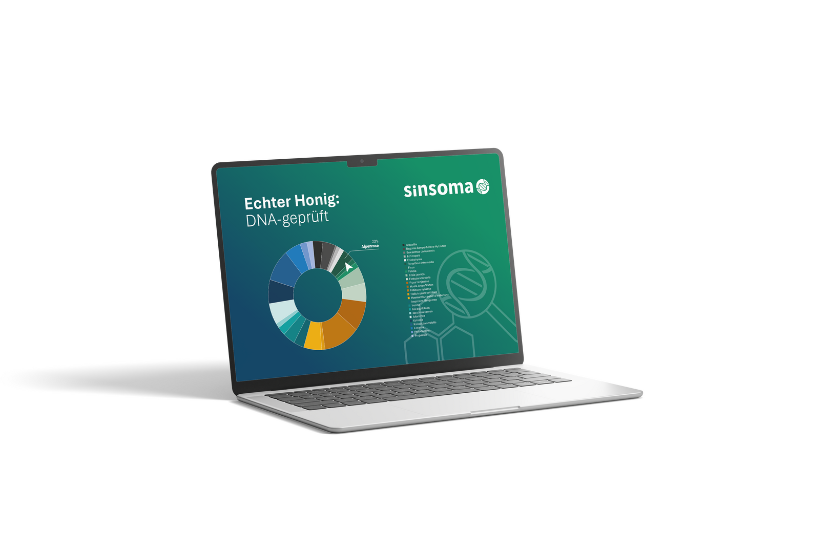 Honig DNA-Analyse von Sinsoma