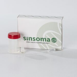Honig DNA-Analyse von Sinsoma